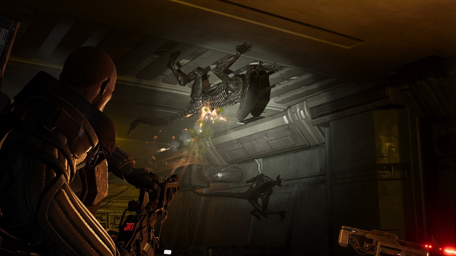 Aliens: Fireteam Elite 2 é anunciado com times de quatro jogadores
