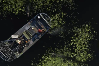 GTA 6 some com data de lançamento em página oficial e preocupa fãs - ps5