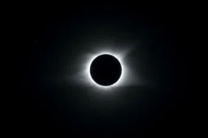 licensed-image-scaled
