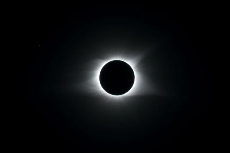 licensed-image-scaled