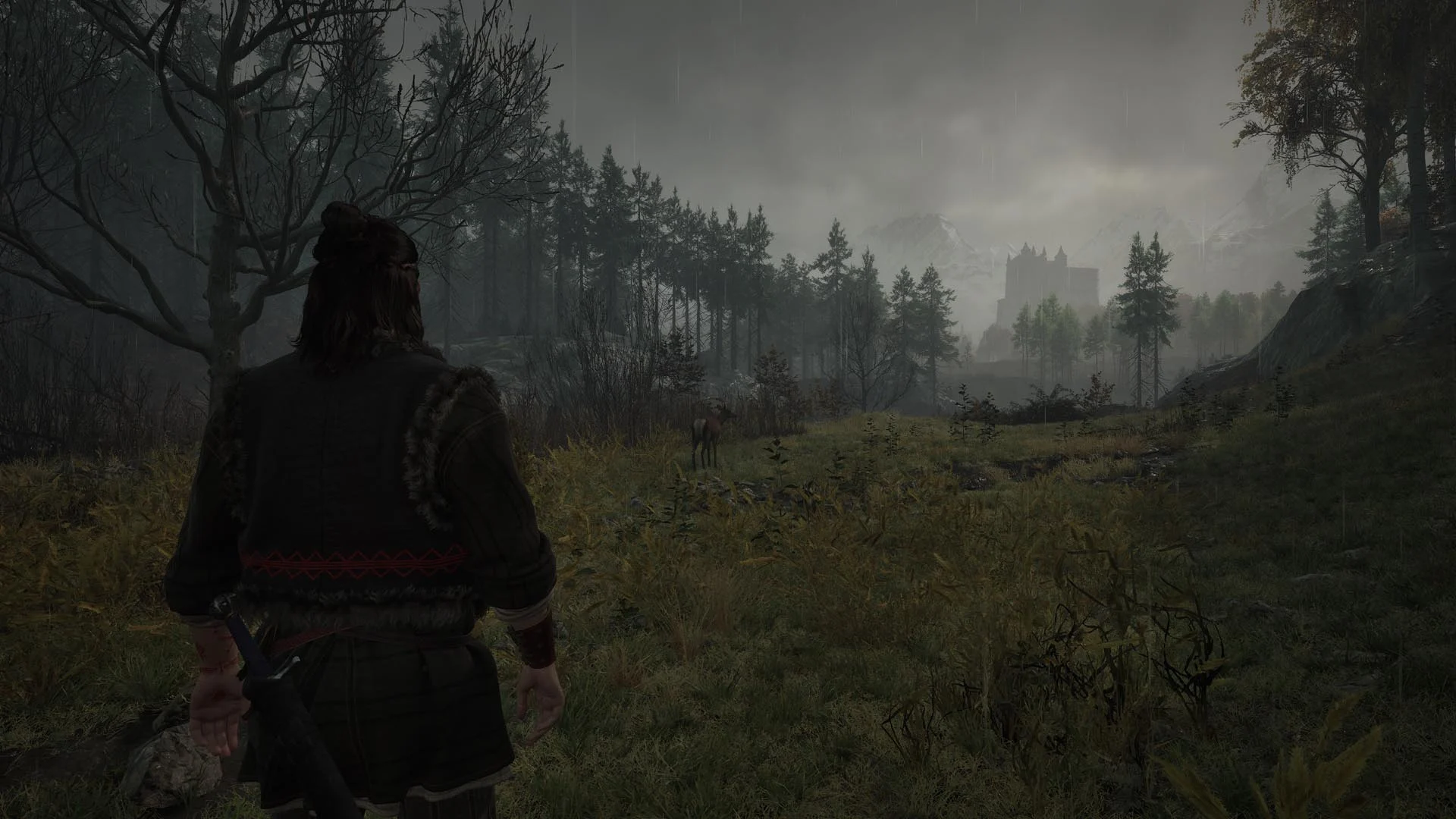 Coen observa um castelo em The Blood of Dawnwalker