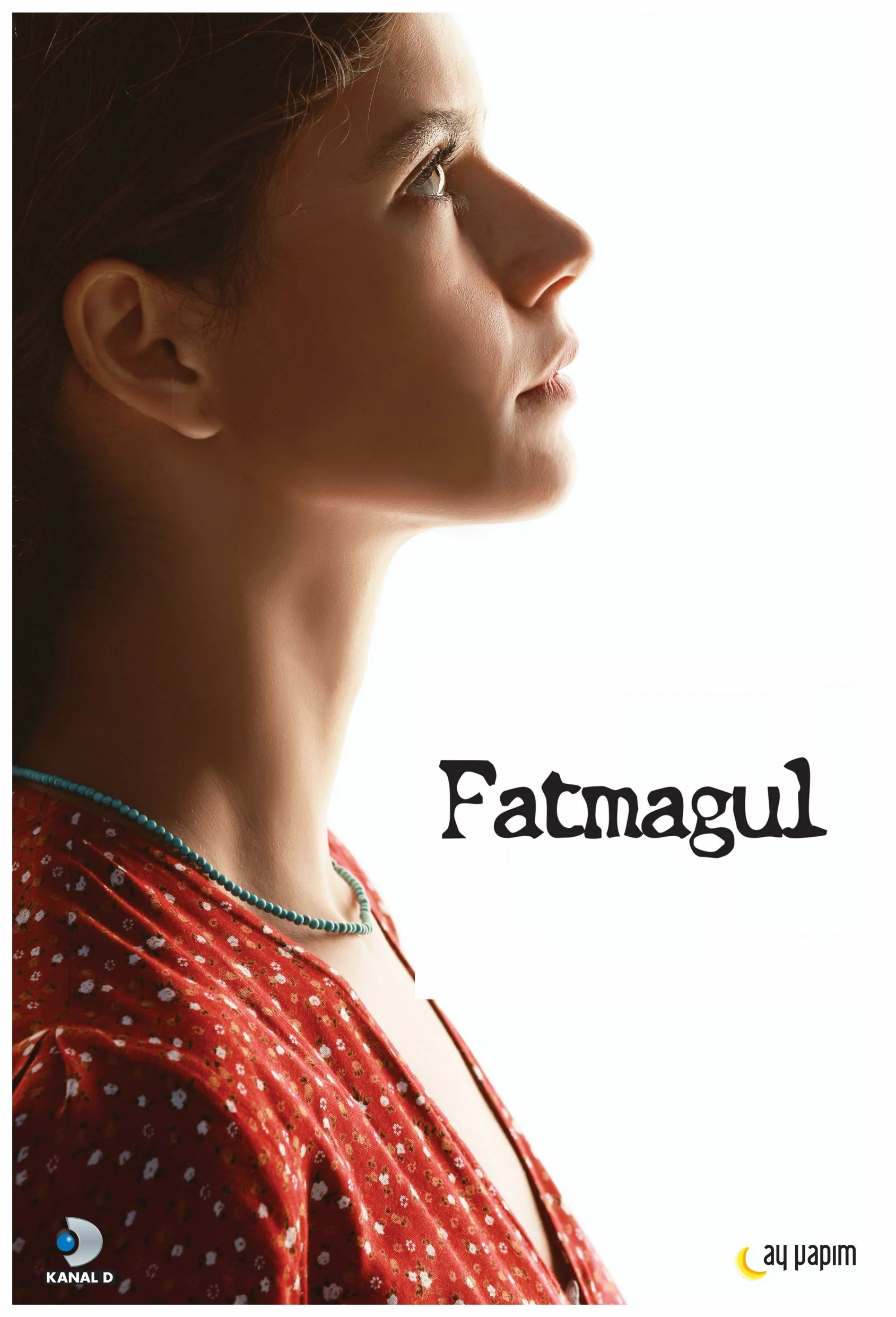 Pôster oficial da novela turca Fatmagül