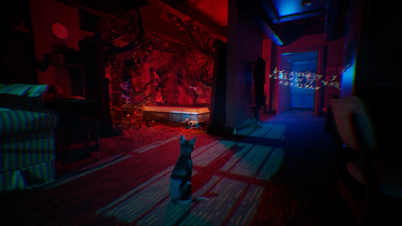 Gato controlável em 1666 Amsterdam