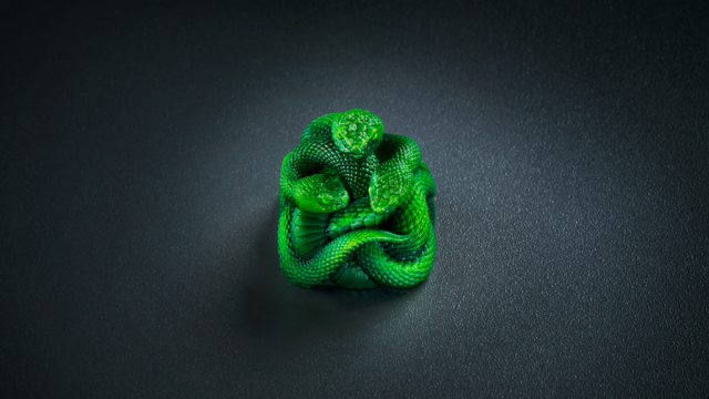 Razer transforma serpente de três cabeças em keycap pintada à mão