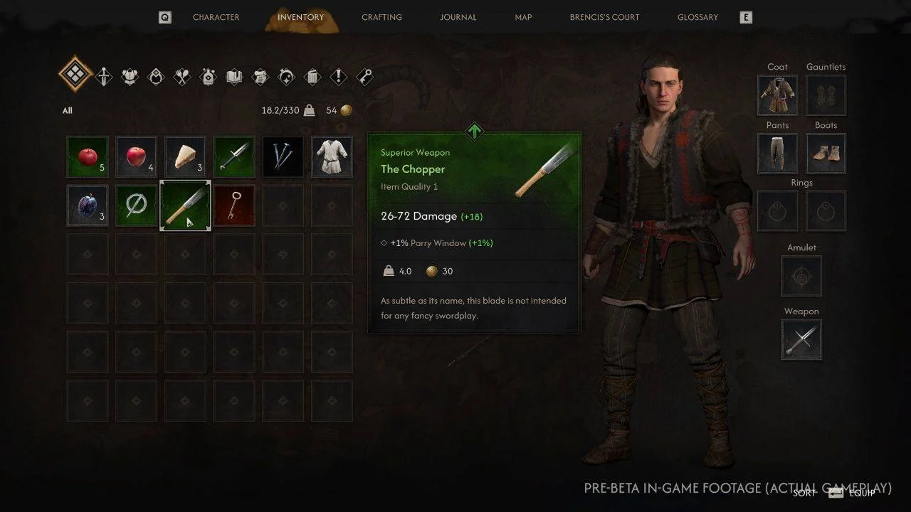Menu de equipamentos e inventário de The Blood of Dawnwalker