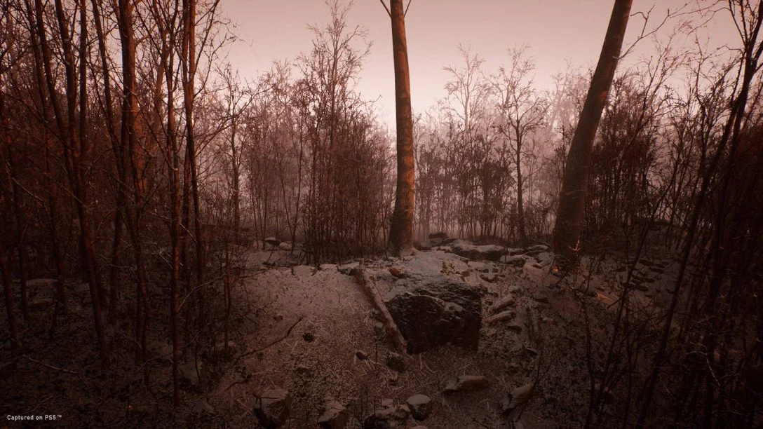 Floresta de Abandoned em imagem divulgada para o PS5