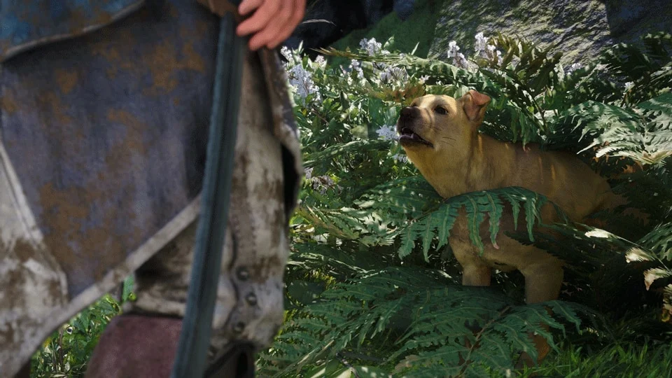 Cachorro perdido que pode ser salvo em Assassin's Creed Black Flag Resynced