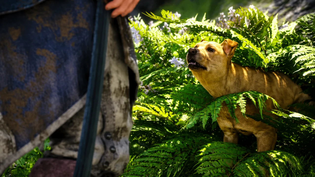 Assassin’s Creed finalmente deixa você salvar o cachorro perdido de Black Flag Resynced