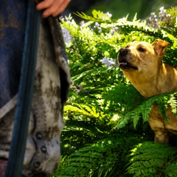 Assassin’s Creed finalmente deixa você salvar o cachorro perdido de Black Flag Resynced