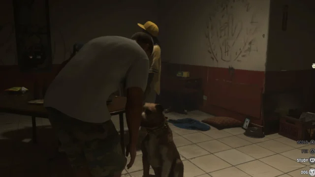 GTA 6 permitirá jogar cocô de cachorro em NPCs e interagir com cães
