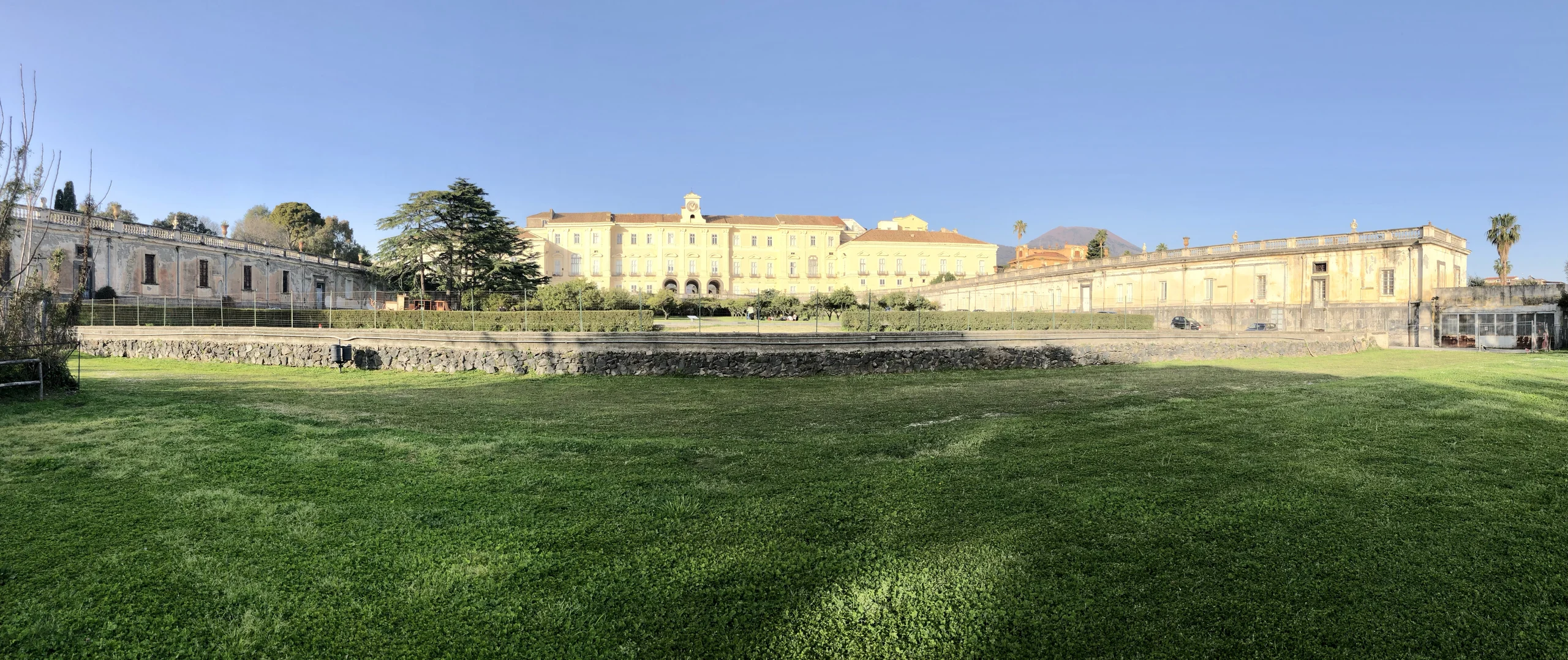 escola minerva historia real 5
