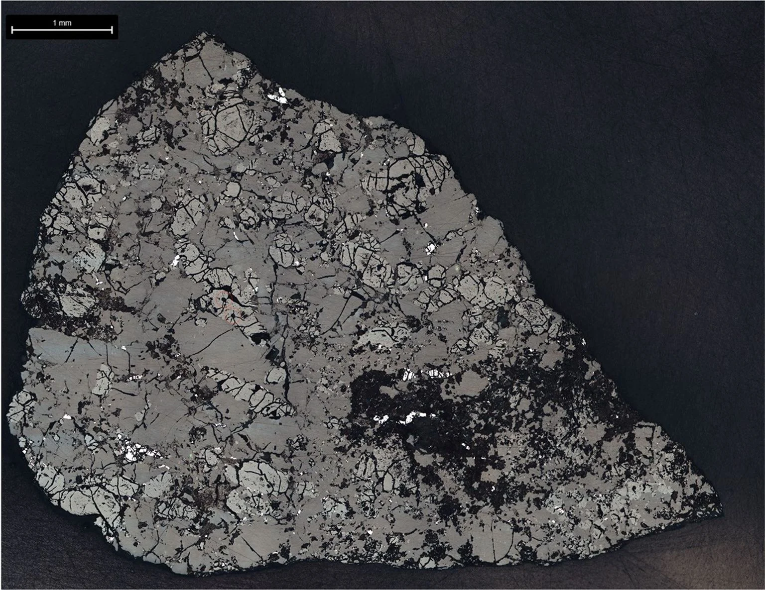 Seção real do meteorito marciano Teghaza 001 examinada em laboratório, com minerais claros e escuros sobre fundo preto