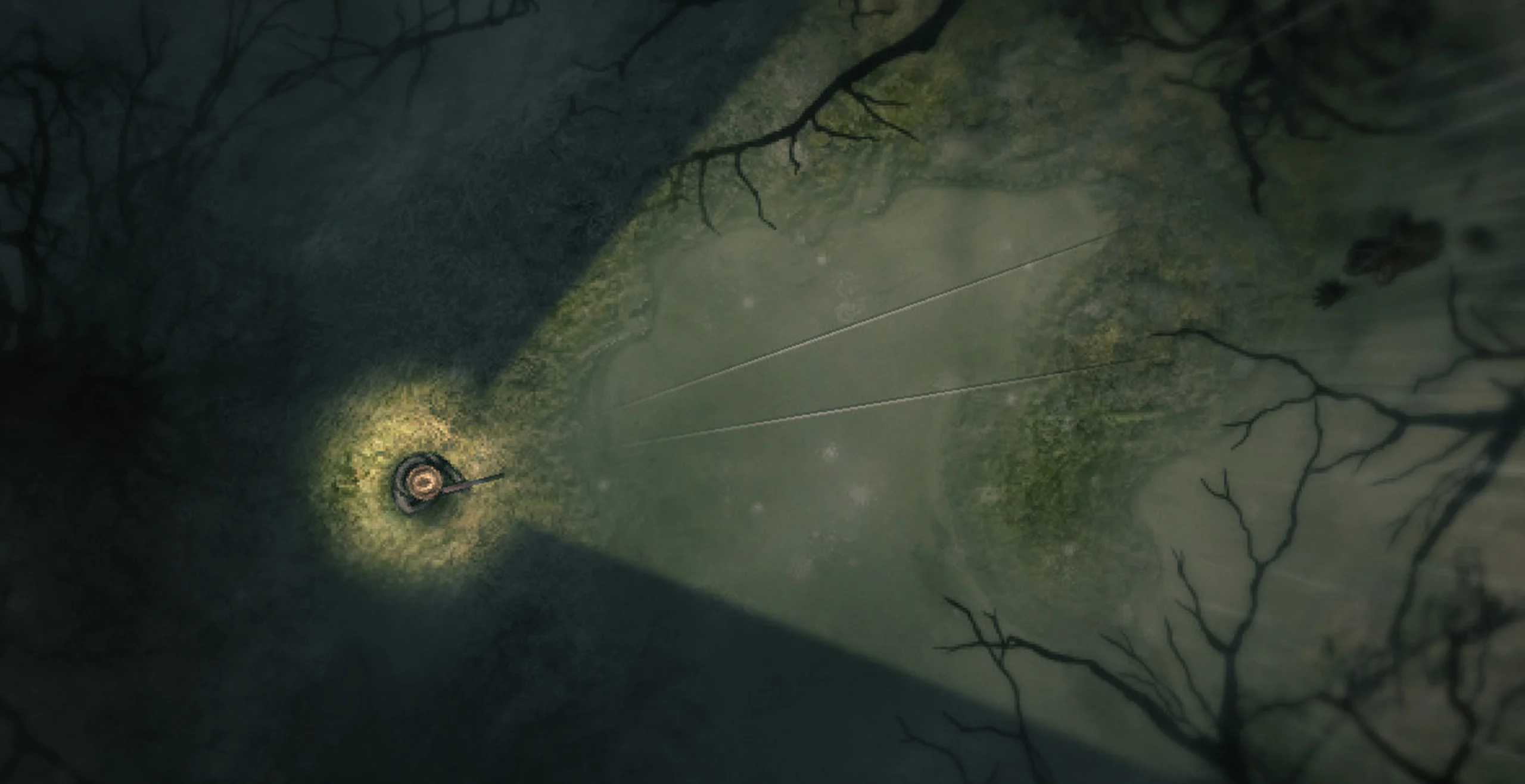 Floresta escura e ameaçadora vista de cima em Darkwood