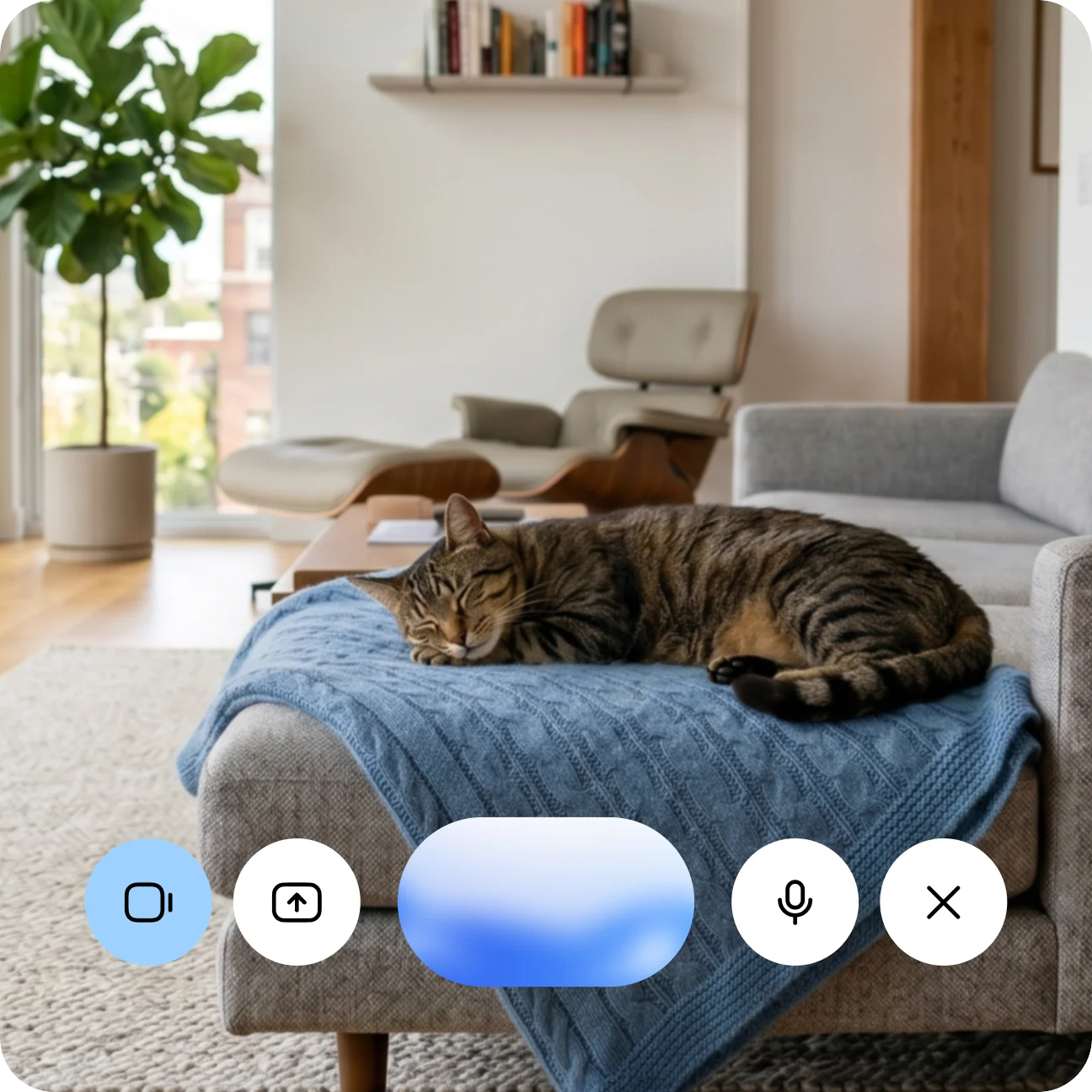 Demonstração do Gemini Live com um gato no sofá e controles de câmera e microfone na tela