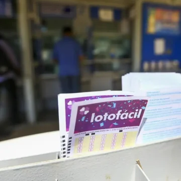 Bolão da Lotofácil: como funcionam cotas, preço e divisão do prêmio